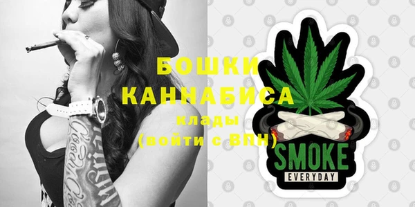ГАЛЛЮЦИНОГЕННЫЕ ГРИБЫ Дмитриев