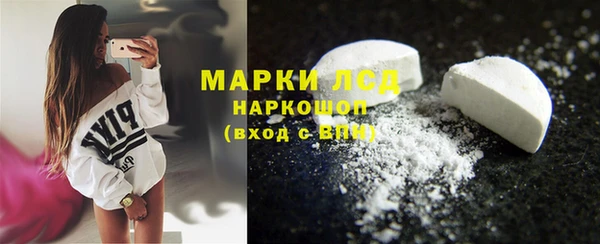 ГАЛЛЮЦИНОГЕННЫЕ ГРИБЫ Дмитриев