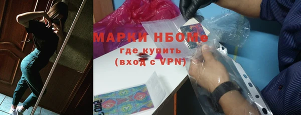 ГАЛЛЮЦИНОГЕННЫЕ ГРИБЫ Дмитриев