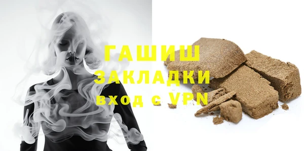 ГАЛЛЮЦИНОГЕННЫЕ ГРИБЫ Дмитриев
