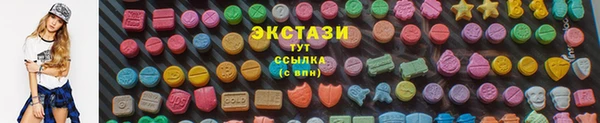 ГАЛЛЮЦИНОГЕННЫЕ ГРИБЫ Дмитриев
