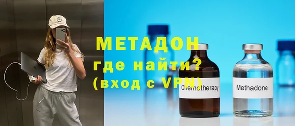ГАЛЛЮЦИНОГЕННЫЕ ГРИБЫ Дмитриев