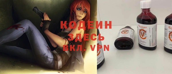 ГАЛЛЮЦИНОГЕННЫЕ ГРИБЫ Дмитриев