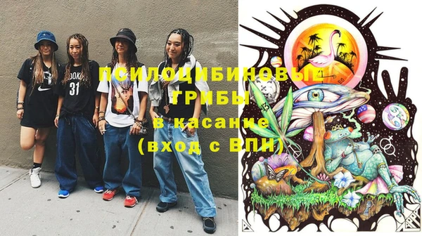 ГАЛЛЮЦИНОГЕННЫЕ ГРИБЫ Дмитриев