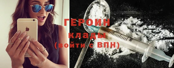 ГАЛЛЮЦИНОГЕННЫЕ ГРИБЫ Дмитриев