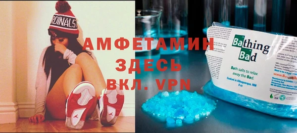 ГАЛЛЮЦИНОГЕННЫЕ ГРИБЫ Дмитриев
