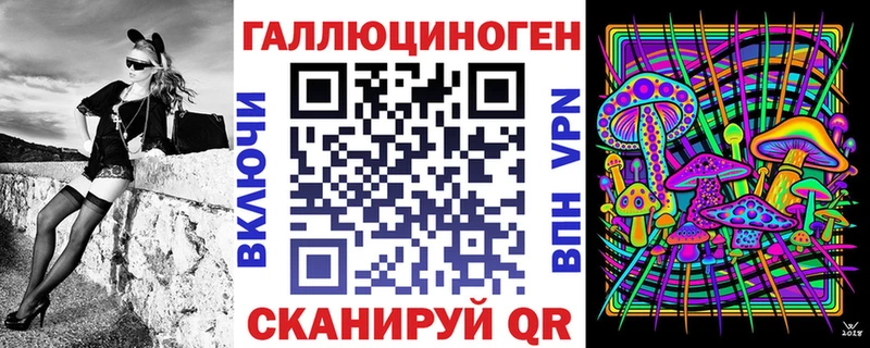 Купить где  Инза  Псилоцибиновые грибы Cubensis 